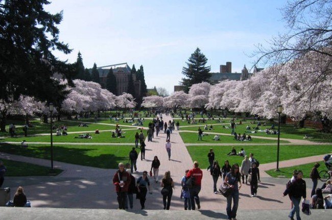 Building Photo - 4522 Brooklyn Ave NE