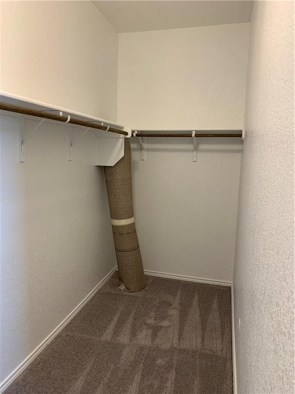 Building Photo - 1229 Cliffbrake Wy