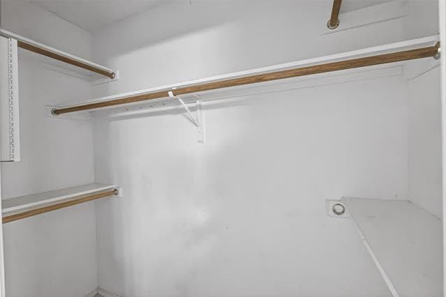 Building Photo - 7016 Snowivy Ct