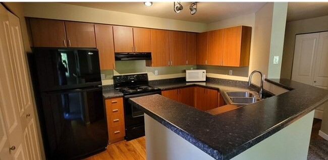 Building Photo - 1Bd/1Ba Kenmore Condo