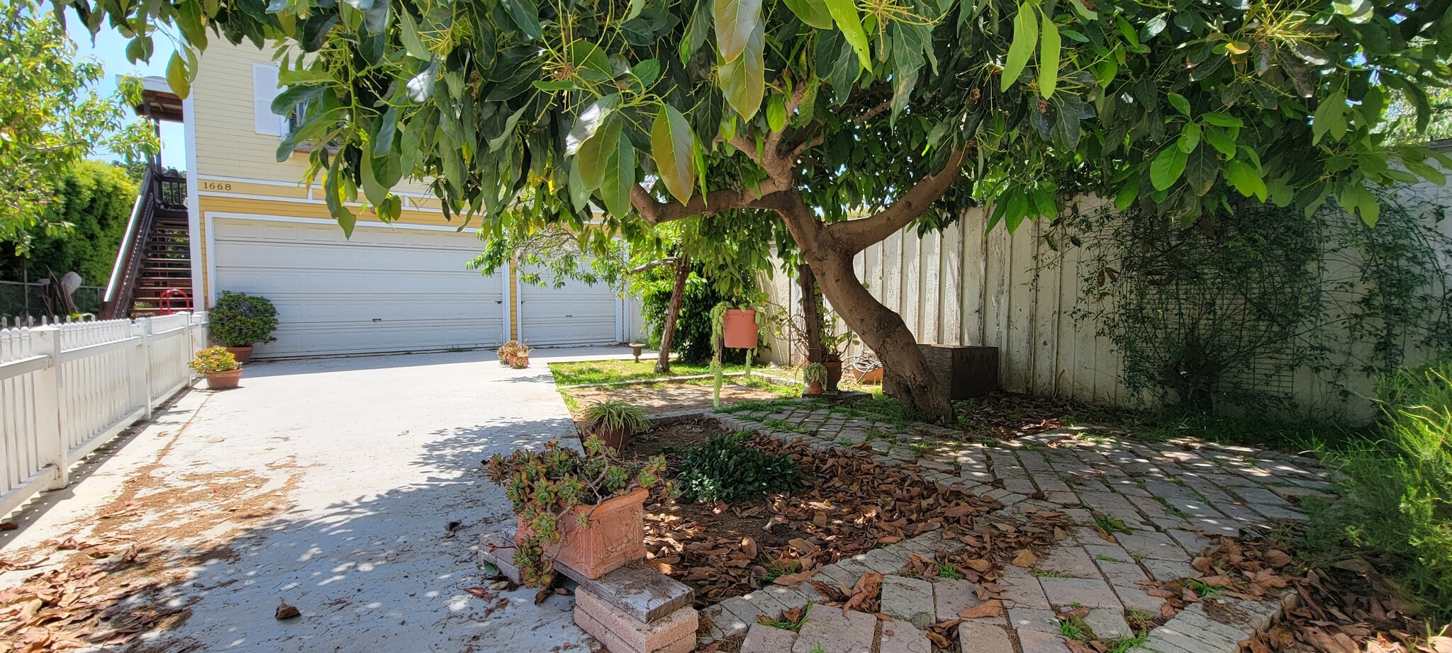 Backyard mostly shaded by Avocado Tree - 1662 E Ocean Ave