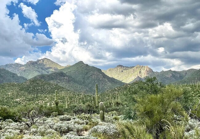 Building Photo - 6655 N Canyon Crest Dr