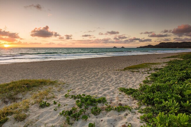 Building Photo - Peaceful Oceanfront Home Near Downtown Kai...
