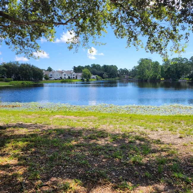 Building Photo - 23699 Bahama Point