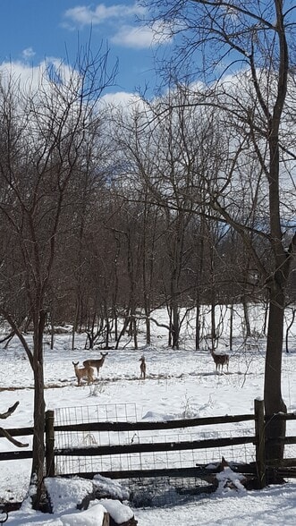 Building Photo - 1310 Hollow Rd