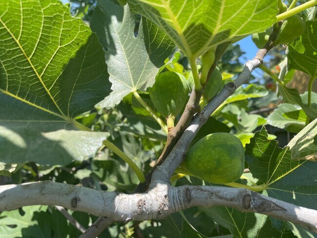 Building Photo - 11310 Pinehaven Ave