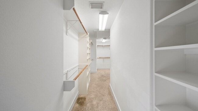 Building Photo - 5637 Oasis Palm Ln