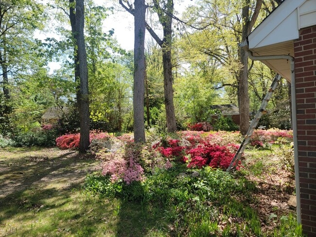 Building Photo - Delightful 3 Bedroom Home for Rent in Henrico