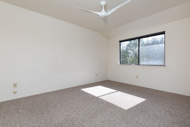 Building Photo - Live Oak Townhome – Completely Renovated & Move-In Ready!