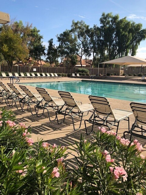 Building Photo - Remodeled Ahwatukee 4br