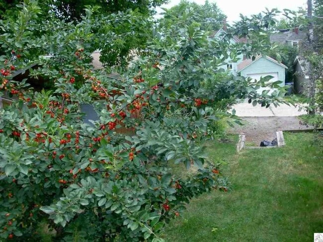 Building Photo - AVAILABLE JUNE - 3 Bed, 1 Bath Updated Home!