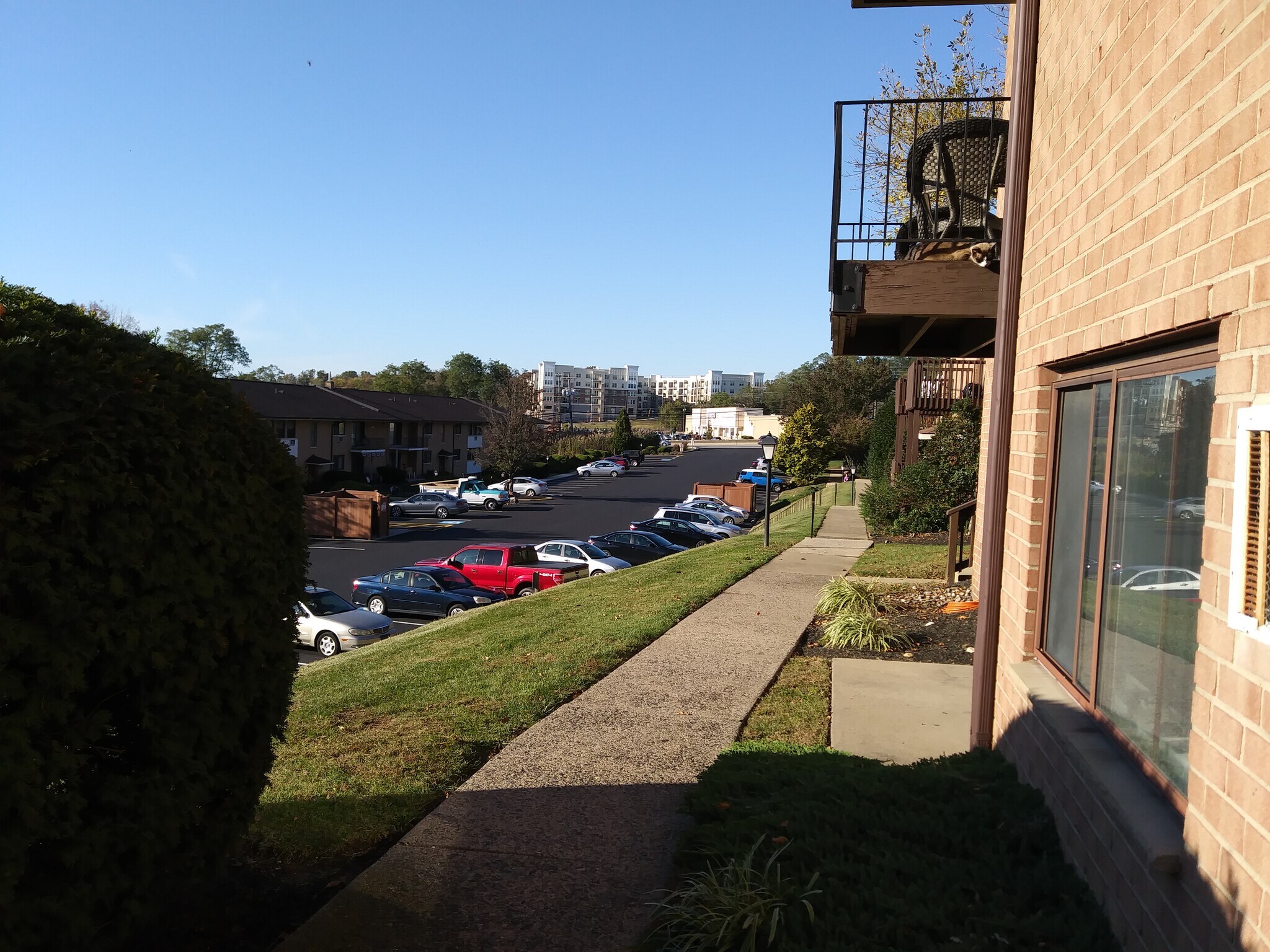 Building Photo - 1016 W Baltimore Pike