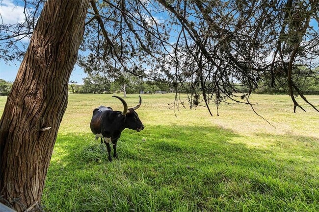 Building Photo - 730 N Sarah Jo St