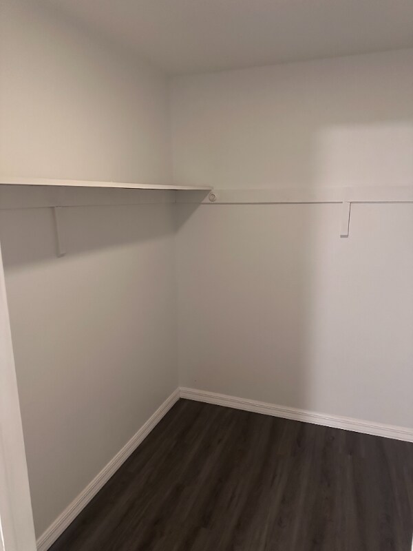 Building Photo - 3100 Thomas Rd