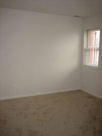 Building Photo - 1451 S Halsted St