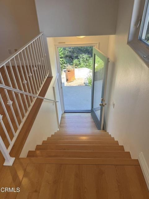 Building Photo - 546 Mint Ln