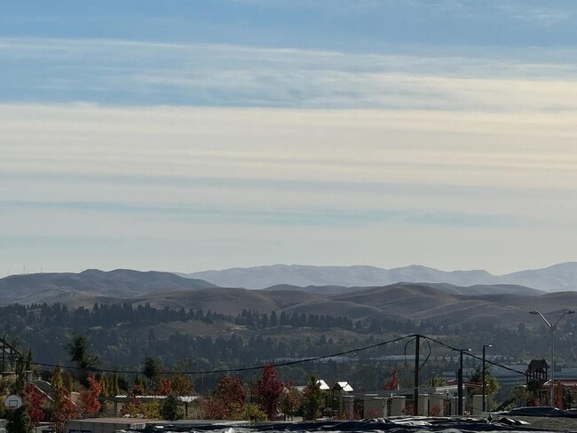 Building Photo - 1416 Venice Ter