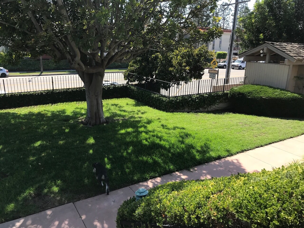 Front Yard - 2289 190th St