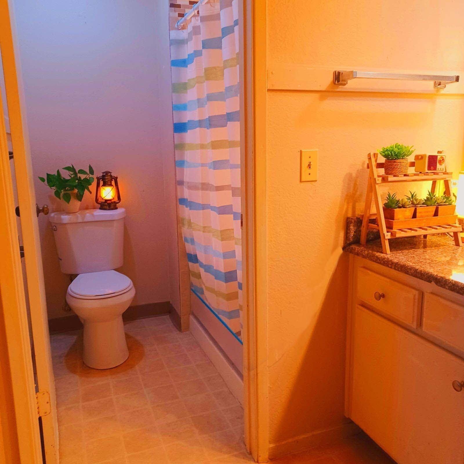 Private Full Bathroom in Primary Bedroom - 1190 S Winery Ave