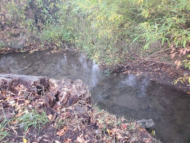 Building Photo - 9 Big Horn Dr