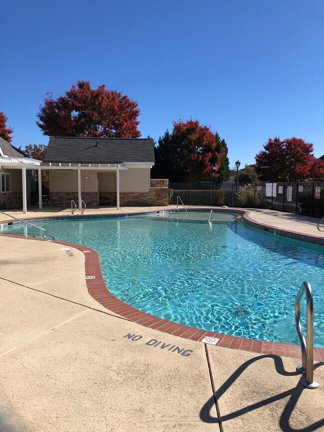 Community Pool - 5029 Prosperity Ridge Rd