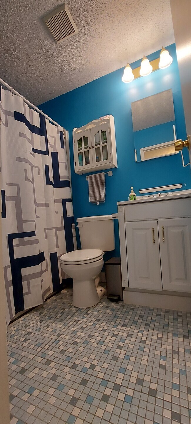 Bathroom01 - 280 Bridgewater Rd