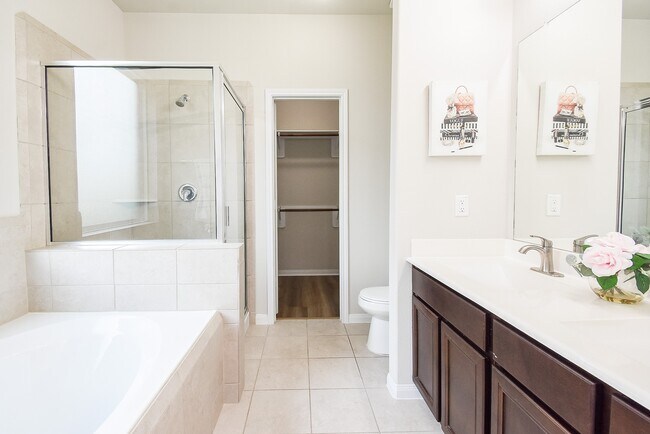 Building Photo - 24914 Alberti Sonata Dr