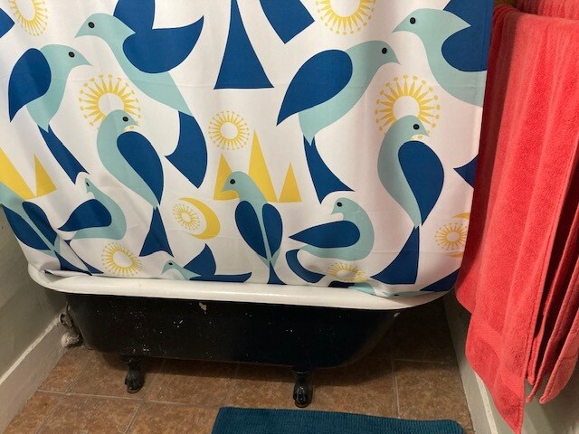 Bath tub - 1627 Francisco St