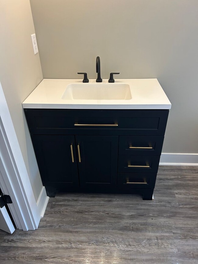 Building Photo - Stunning New Build 3 bedroom 2.5 Bath Home...
