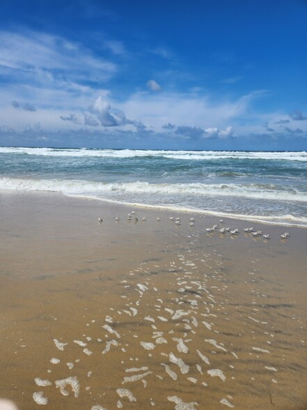 Building Photo - 718 Coronado Ct