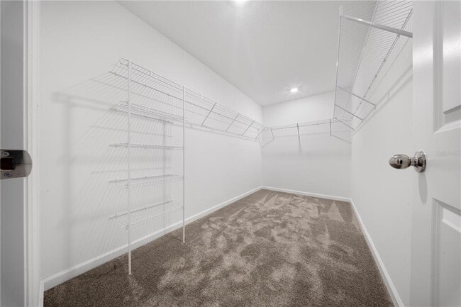Building Photo - 501 Sea Turtle Ln