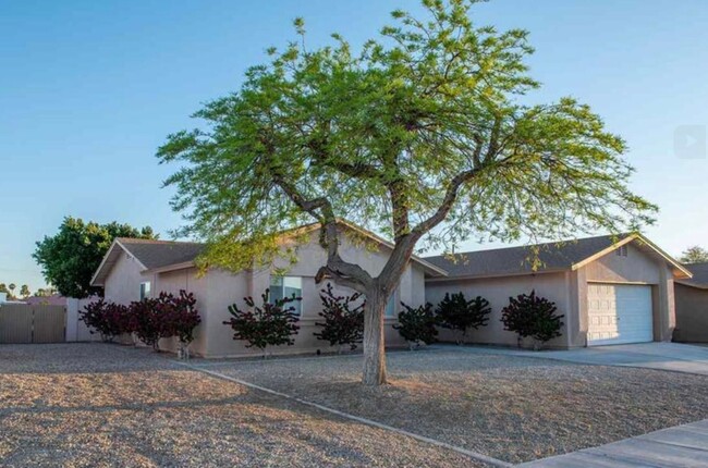 Building Photo - Four Bedroom SOLAR Home in Mesa Del Sol!