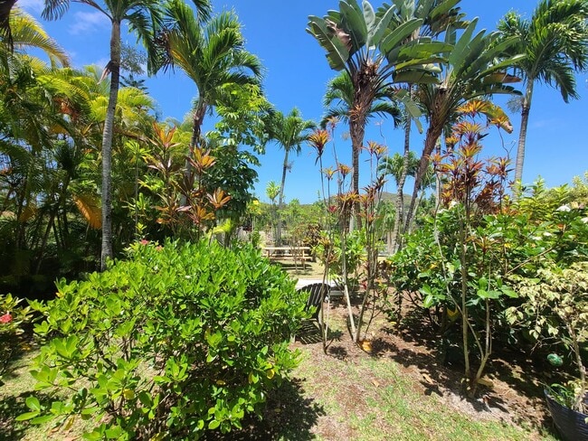 Primary Photo - Cool and breezy - 1 bed 1 bath - AC!
