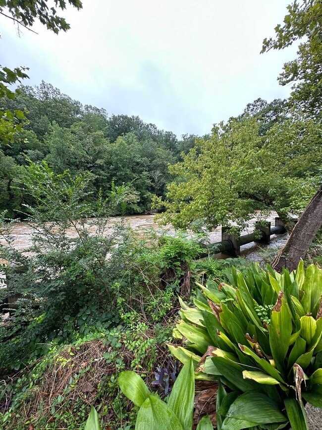 Building Photo - 1 bedroom condo on the river