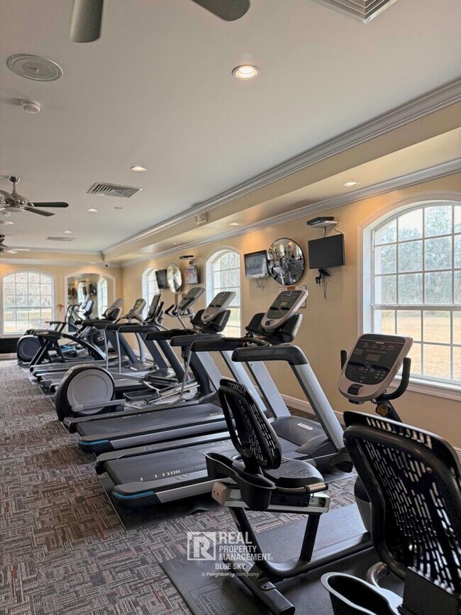 Building Photo - 5238 Gato Del Sol Cir