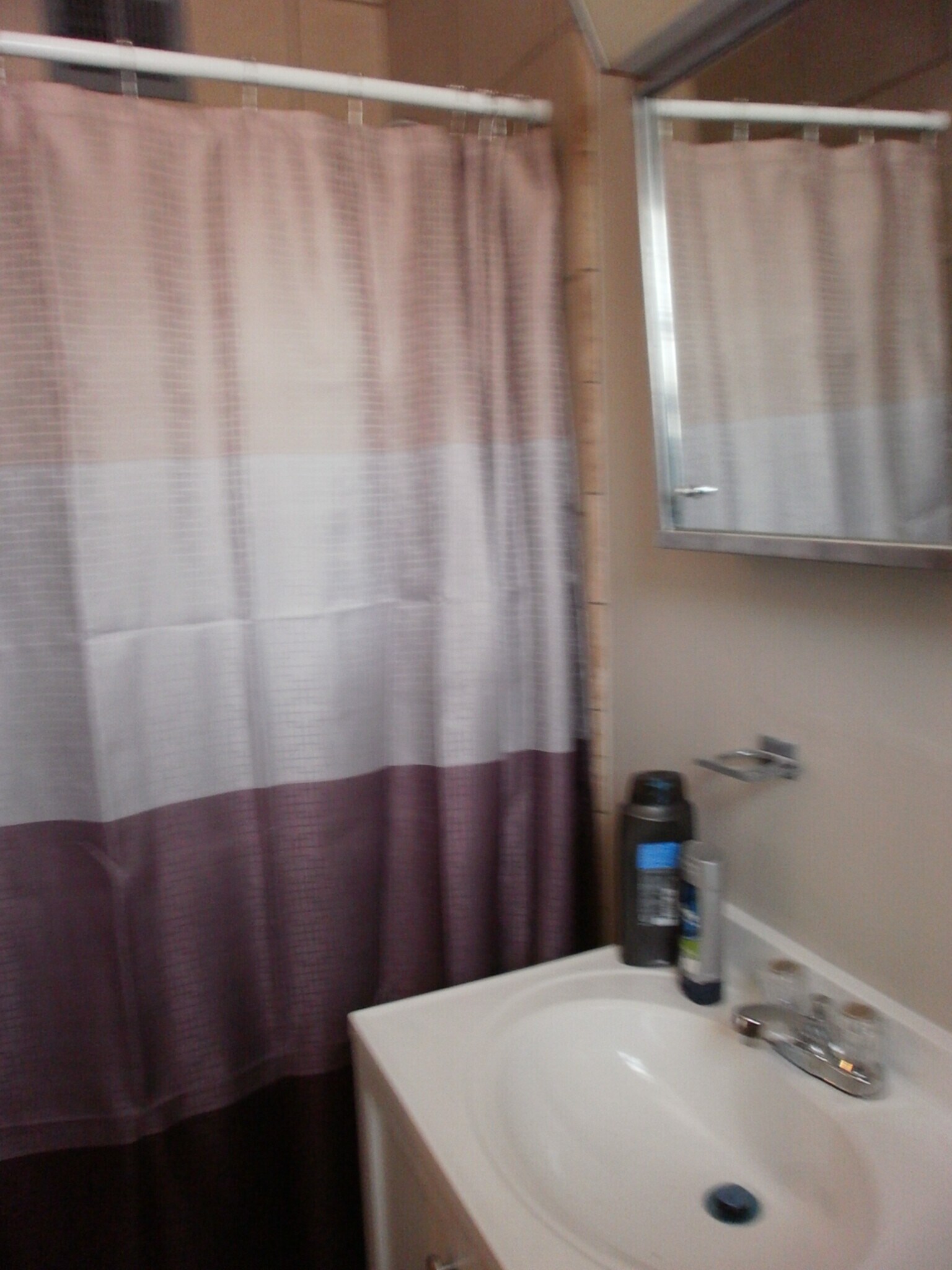 bath - 735 E Granada Dr