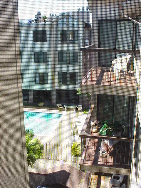 Overlooks the Pool - 500 Poplar Ave