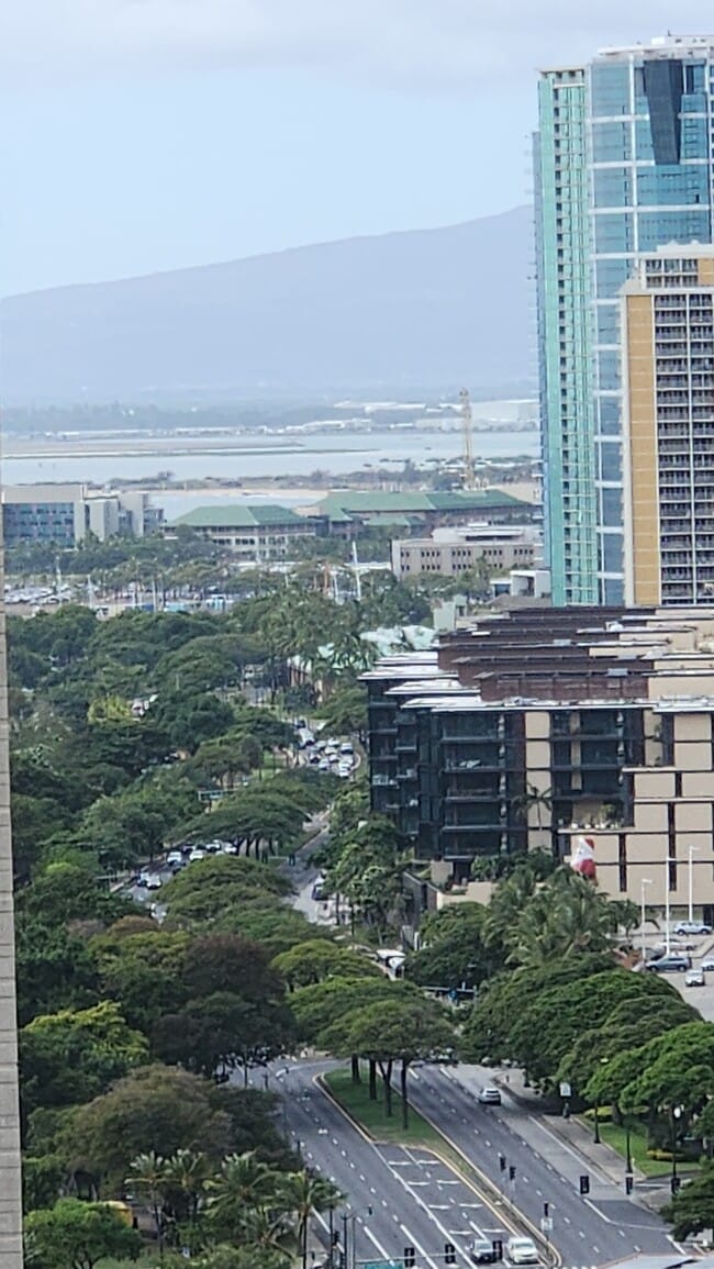 Building Photo - 469 Ena Rd