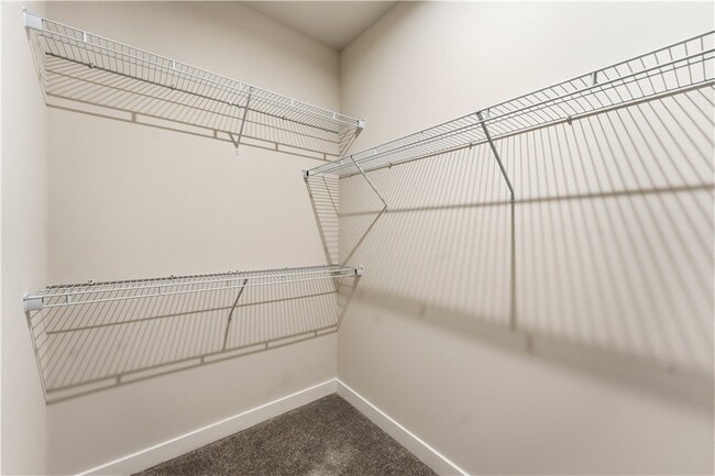 Building Photo - 339 Telluride Ln