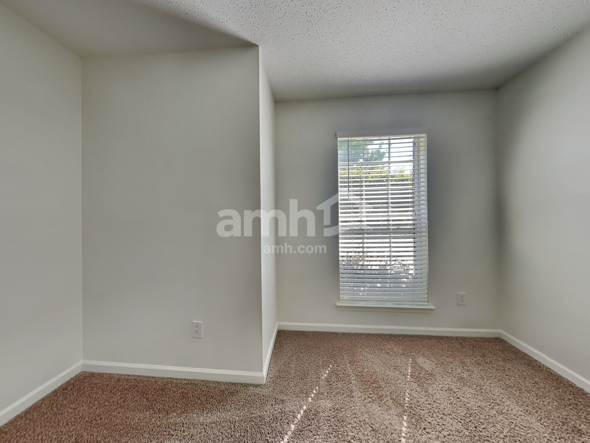 Building Photo - 204 Appleton Ln