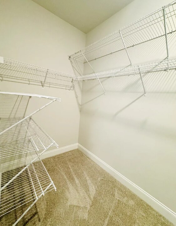 Building Photo - 2422 Capri Ct