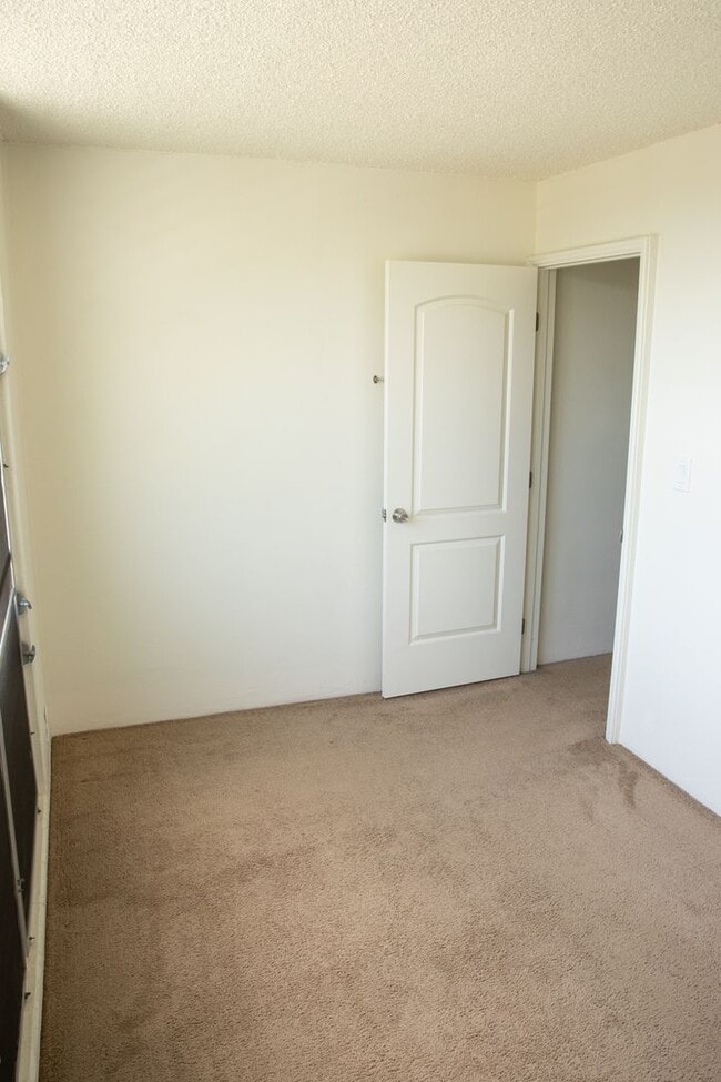 Building Photo - 2 BR/ 1 Bath Low- rise Apartment