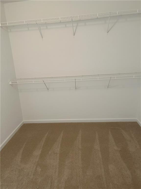 Building Photo - 1551 Swan Valley Ct