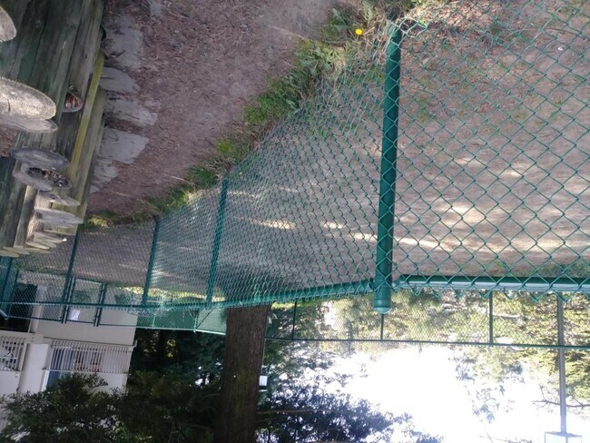 Building Photo - 381 Half Moon Ln #314