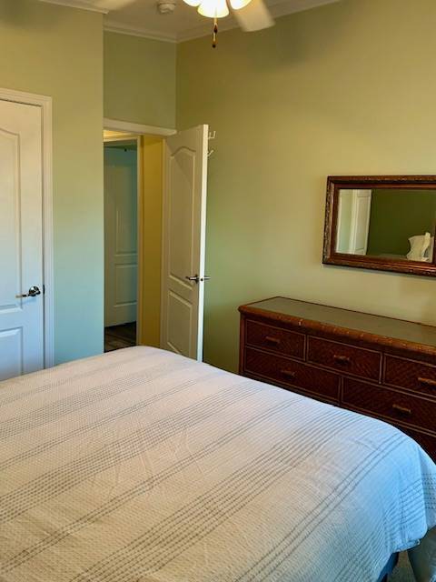 Building Photo - 17 Domingo Ct