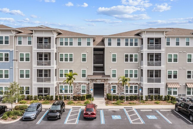 Building Photo - Dunedin Commons Apartments Bld 6