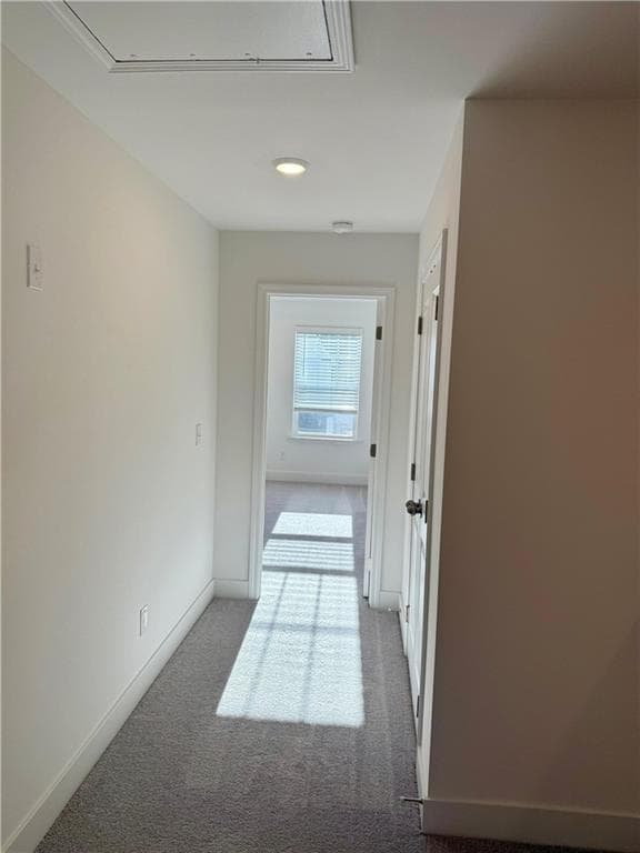 Building Photo - 2543 Superus Ct