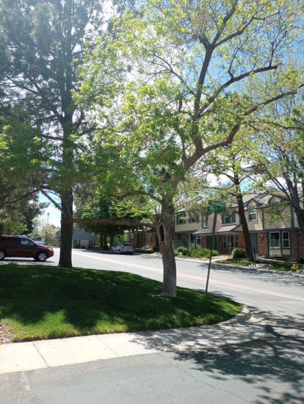 Building Photo - 7106 E Briarwood Dr