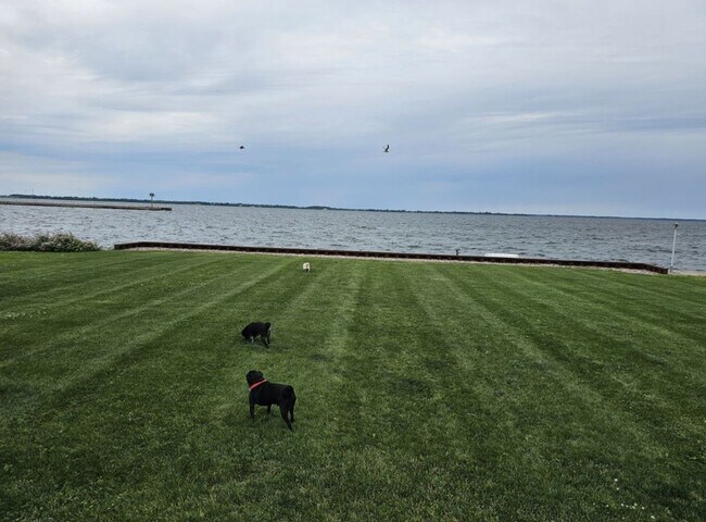 Building Photo - Offered for Rent – Available April 1, 2026 St. Lawrence Seaway Luxury Waterfront Home – Cape Vinc...