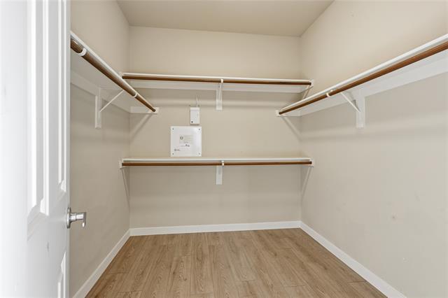 Building Photo - 4605 Barberry Tree Cove